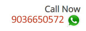 Whatsap Me